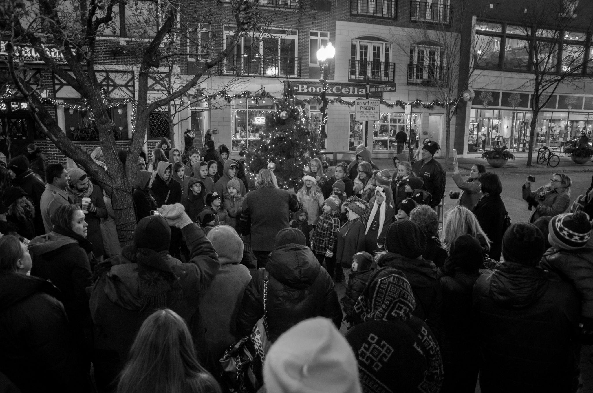 The Lighting of the Neighborhood Christmas Tree