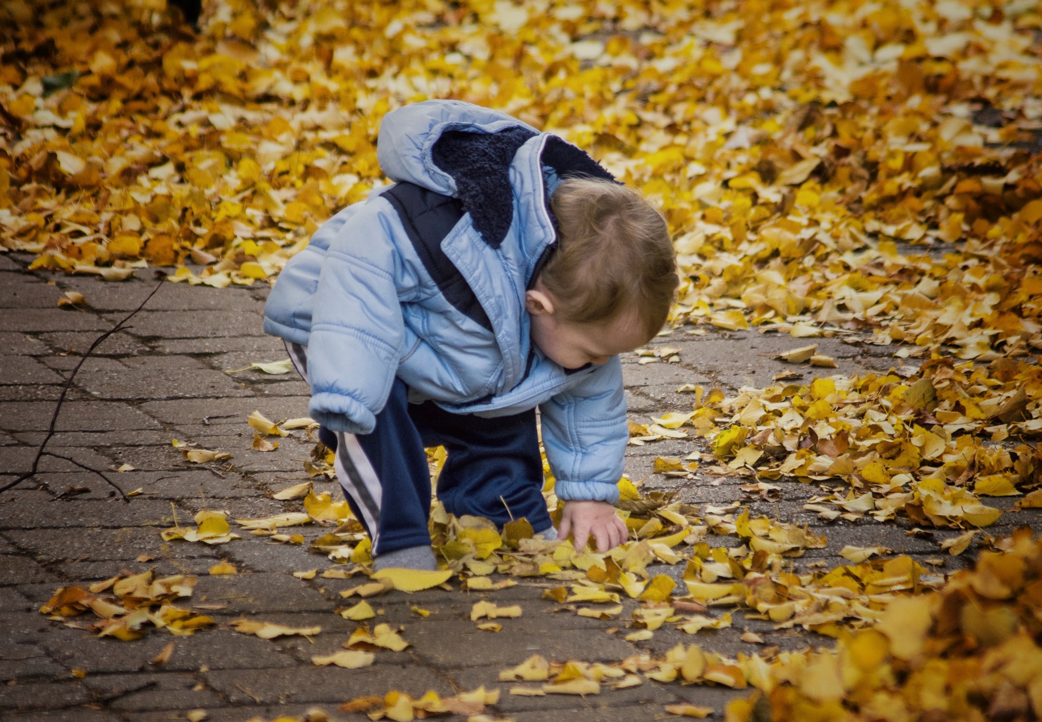 Playing in the Autumn Leaves