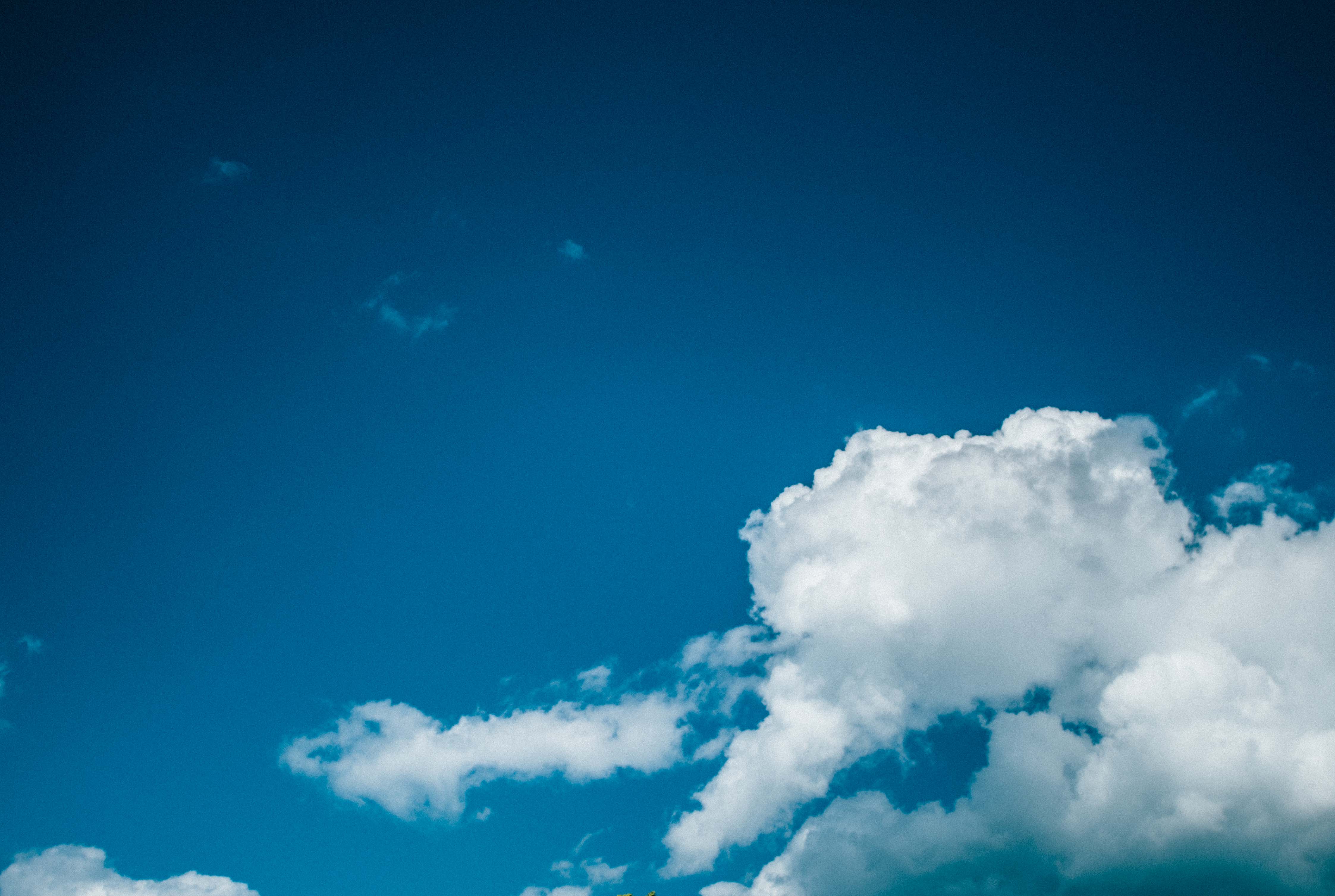 A Brief Wander in Edgewater