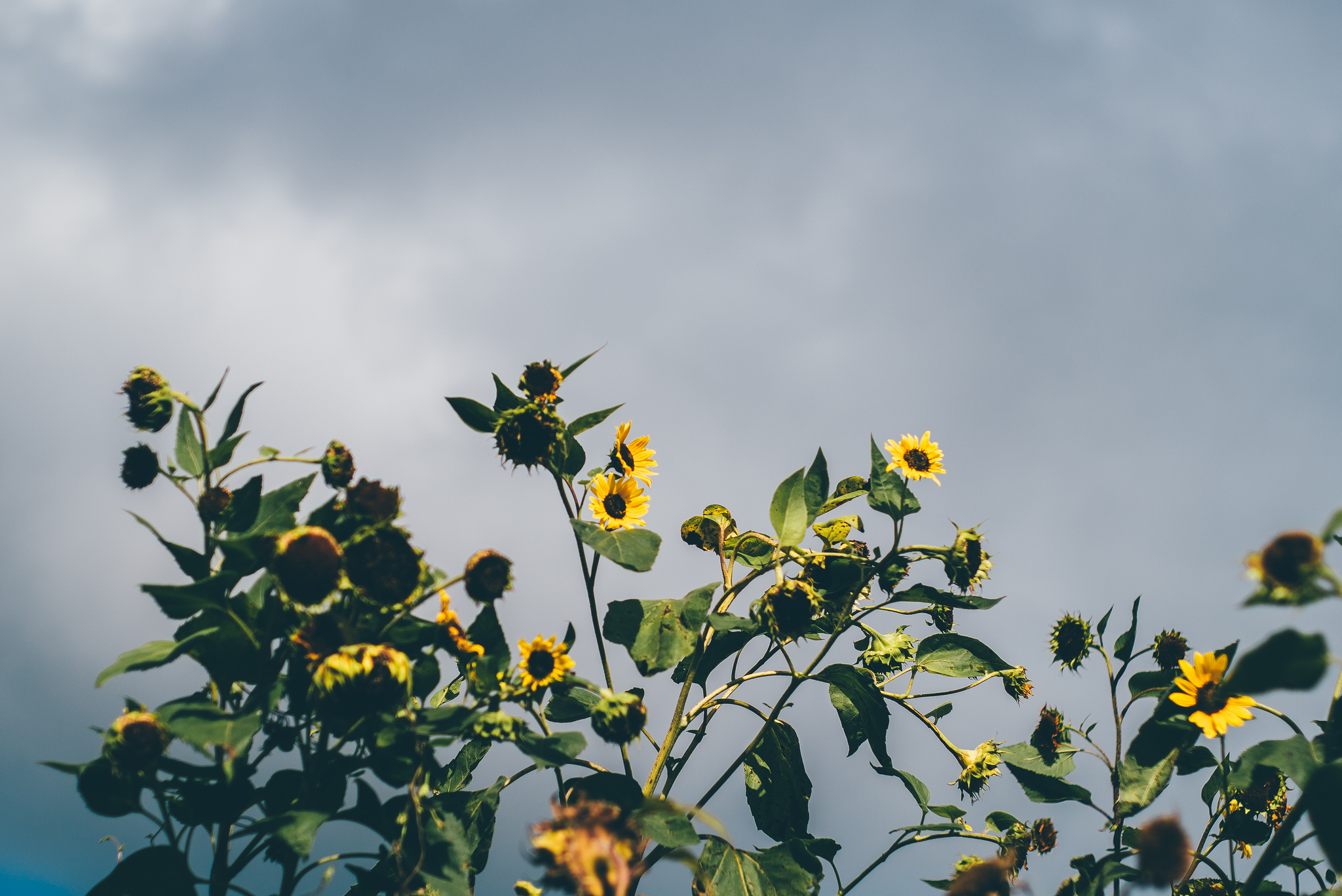 Goodbye, Summer. Welcome, Fall.